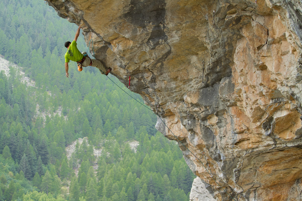 Une arquee pour un criquet (5)